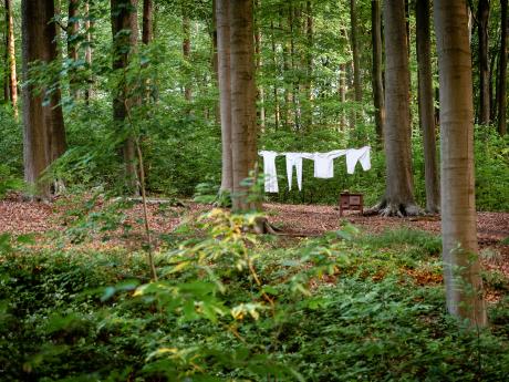 Het sprookje van de laatste gedachte - © Eddy Coppens