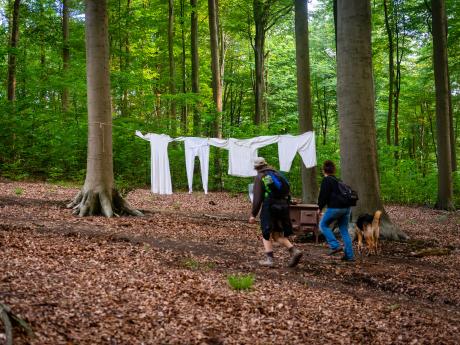 Het sprookje van de laatste gedachte - © Eddy Coppens
