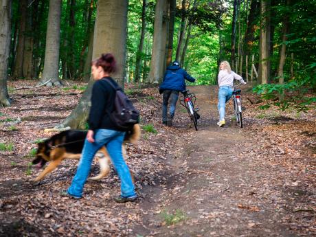 Het sprookje van de laatste gedachte - © Eddy Coppens