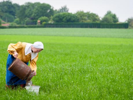 Het sprookje van de laatste gedachte - © Eddy Coppens
