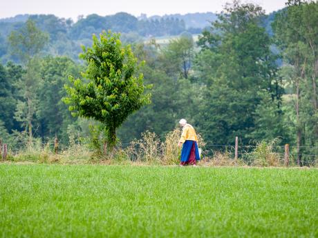 Het sprookje van de laatste gedachte - © Eddy Coppens