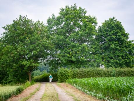 Het sprookje van de laatste gedachte - © Eddy Coppens
