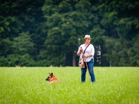Het sprookje van de laatste gedachte - © Eddy Coppens