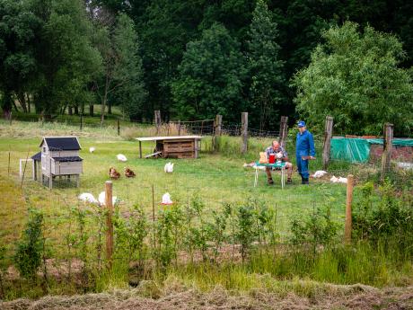 Het sprookje van de laatste gedachte - © Eddy Coppens