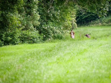 Het sprookje van de laatste gedachte - © Eddy Coppens