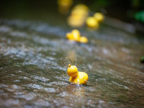 Het sprookje van de laatste gedachte - © Eddy Coppens