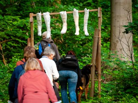 Het sprookje van de laatste gedachte - © Eddy Coppens