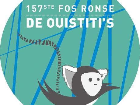 ouistiti ronse