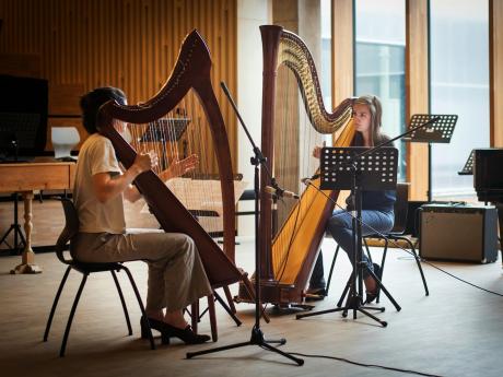 kunstacademie harp