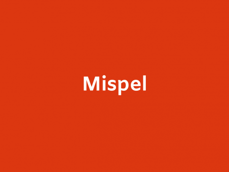 Mispel