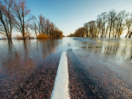 Overstromingsgebied