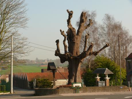 Ronse_Ninovestraat_Oscar_Delghust