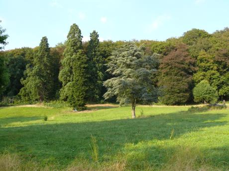 Ronse_Scherpenberg