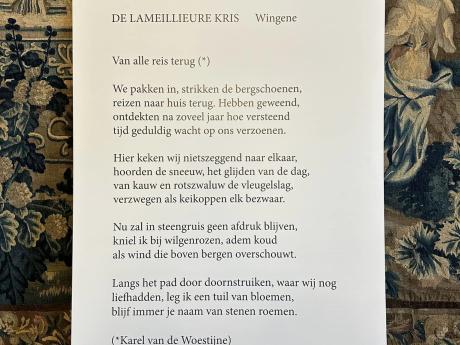 Satdsgedicht 2024