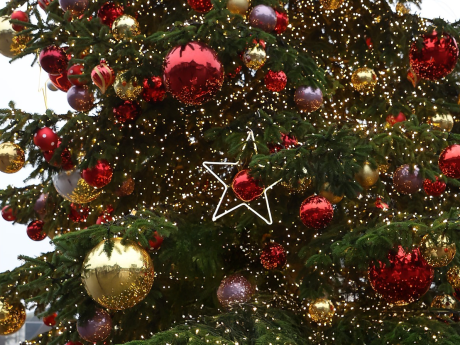 kerstboom
