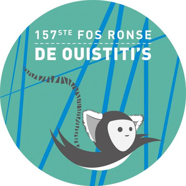 ouistiti ronse
