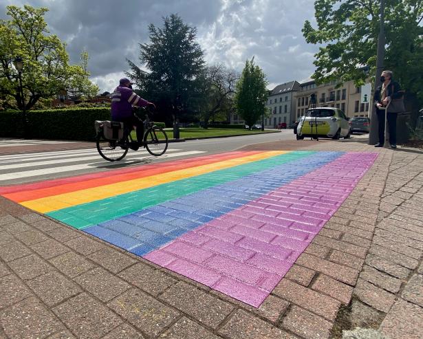 regenboogvoetpad