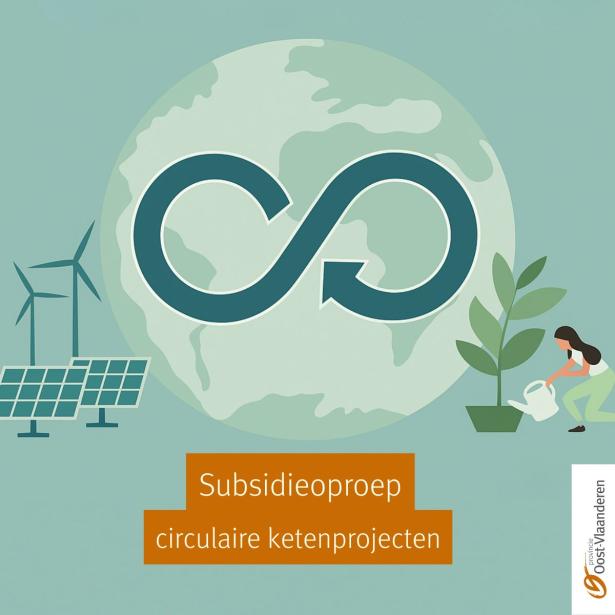 Subsidieproject